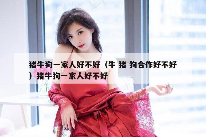 猪牛狗一家人好不好（牛 猪 狗合作好不好）猪牛狗一家人好不好